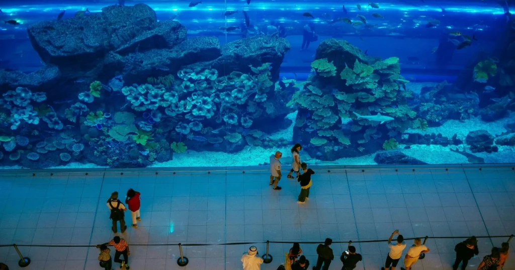 Dubai Mall (DUBAI) Největší Nákupní Centrum Světa - Kompletní Průvodce dubai mall